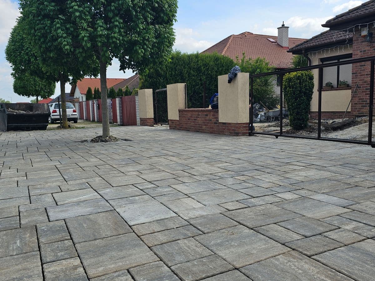 Térkő mintázat fákkal